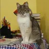 Отзыв от Татьяна Артемова